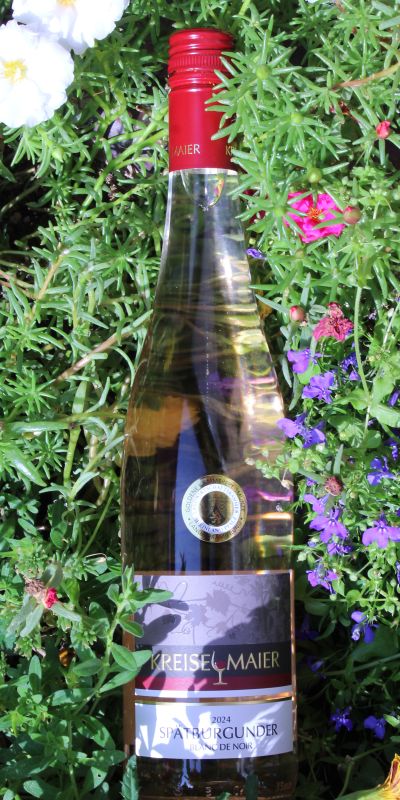 Produktbild von: <br>Nr. 1525<br>2024er Spätburgunder Blanc de Noir Qualitätswein   0,75l<br>
